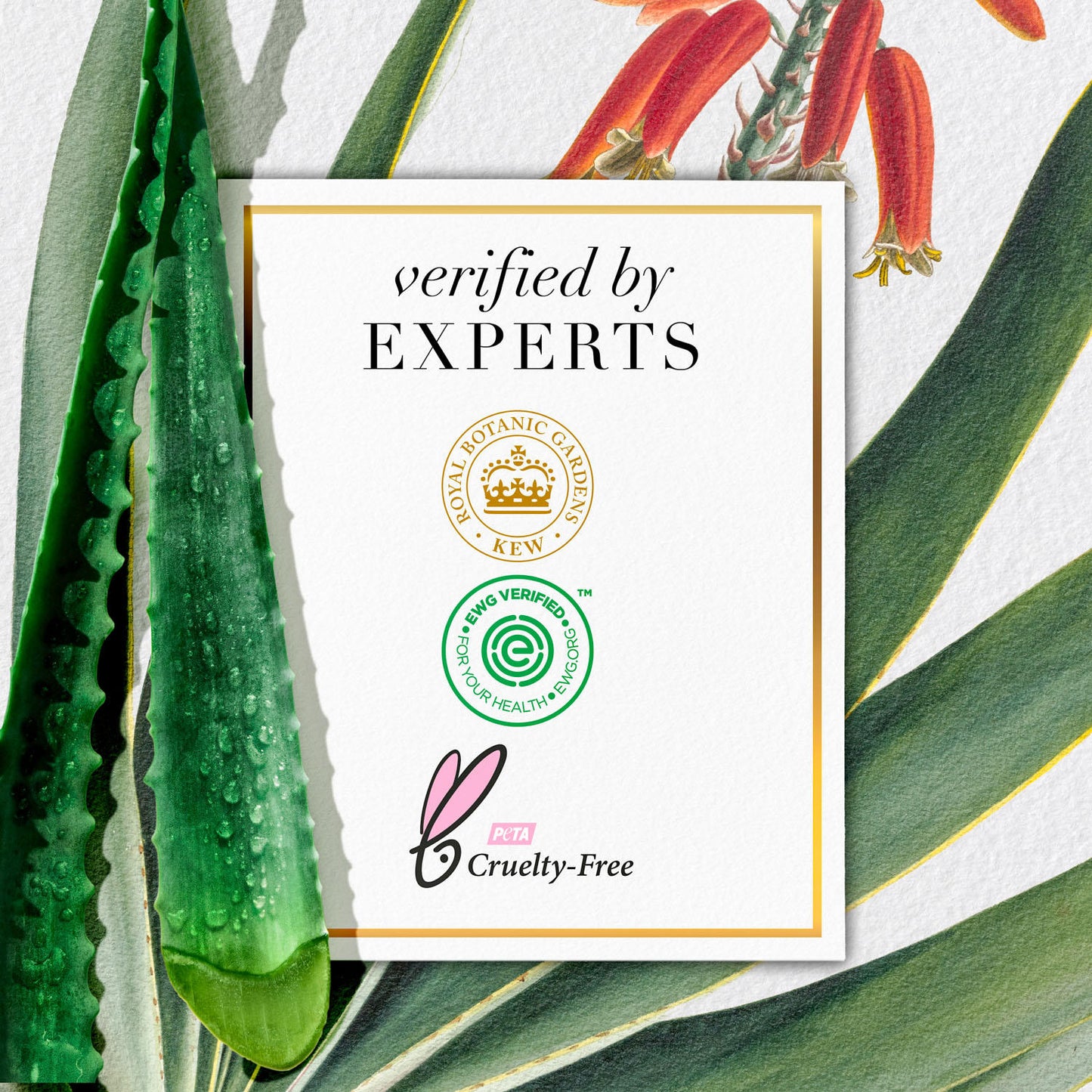 Herbal Essences bio:renew Argan Oil & Aloe Sulfate-Free Conditioner (29.2 fl. oz.)