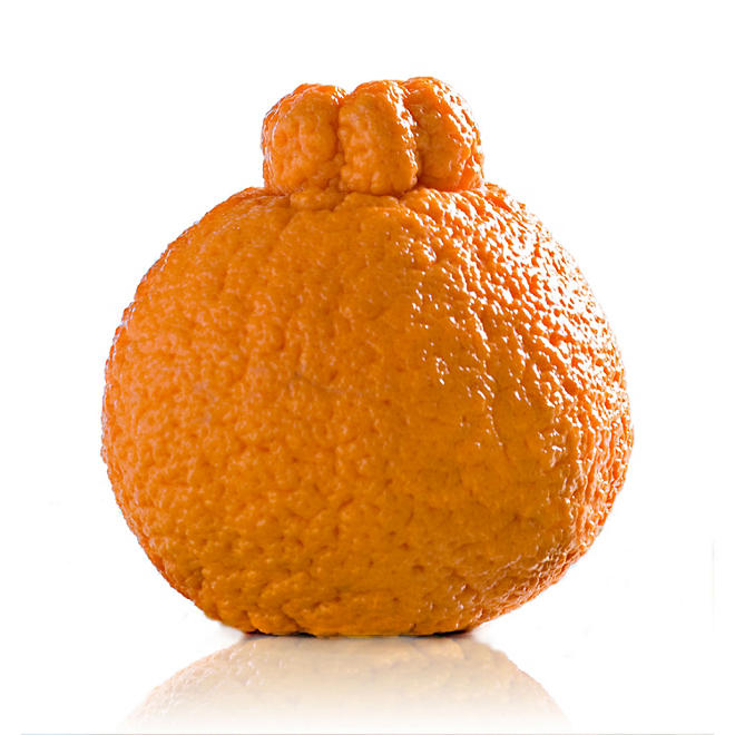 Sumo Citrus Mandarin (3 lbs.)