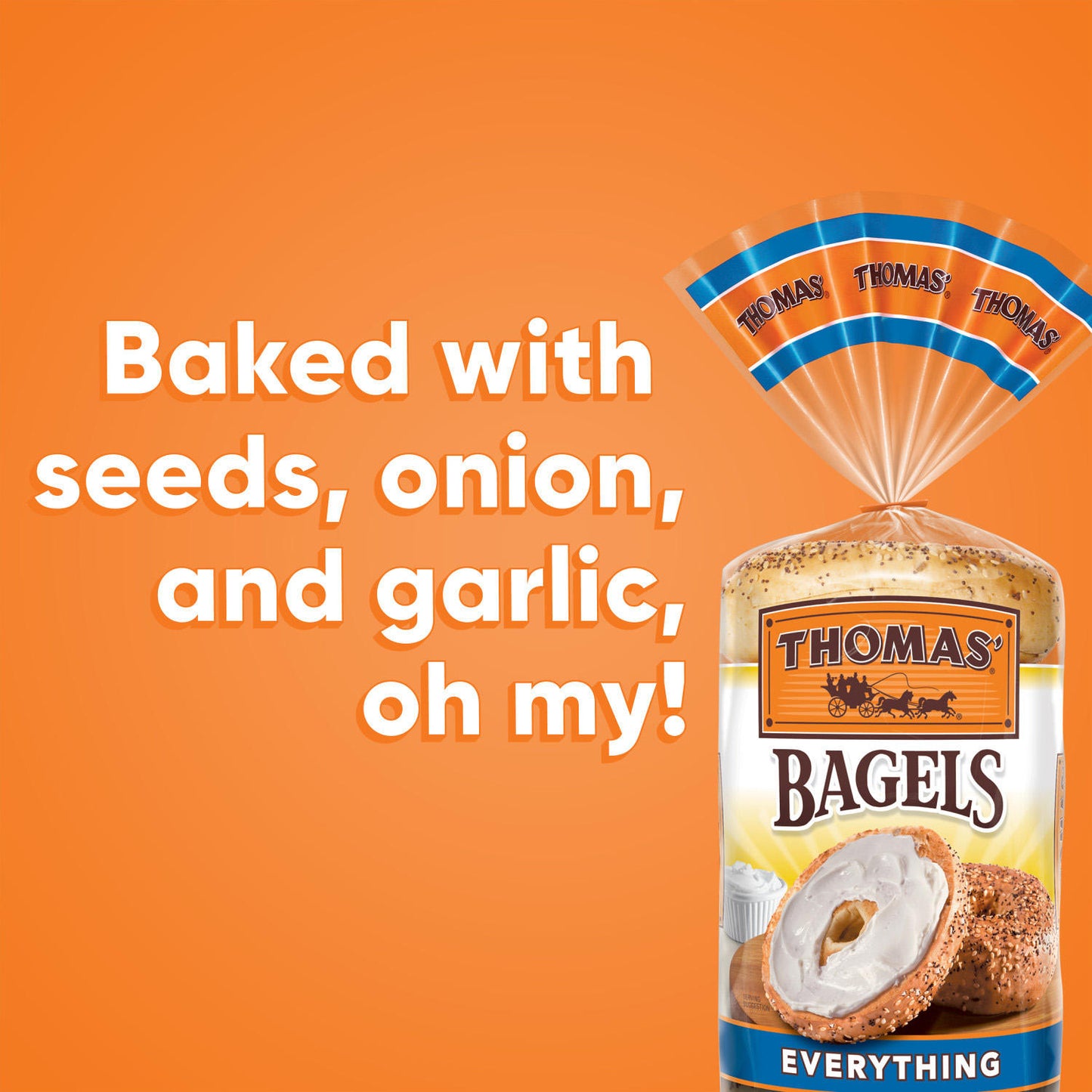 Thomas' Everything Soft and Chewy Bagels (18oz / 2pk)