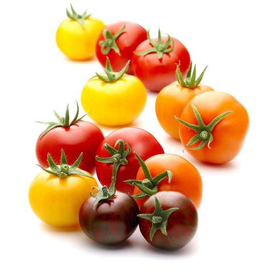Wild Wonders Tomatoes (2 lbs.)
