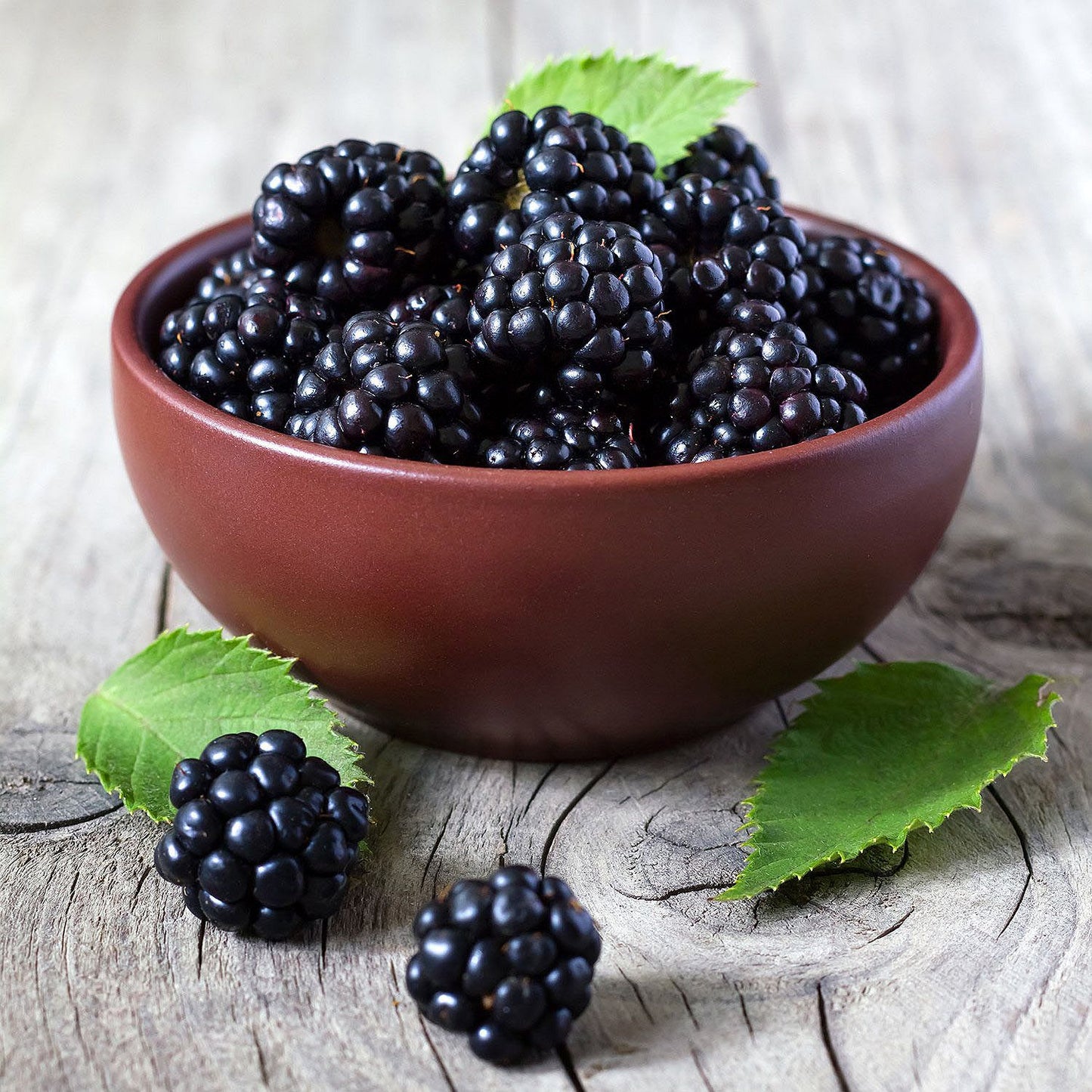 Blackberries (18 oz.)