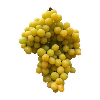 Cotton Candy Grapes (3 lbs.)