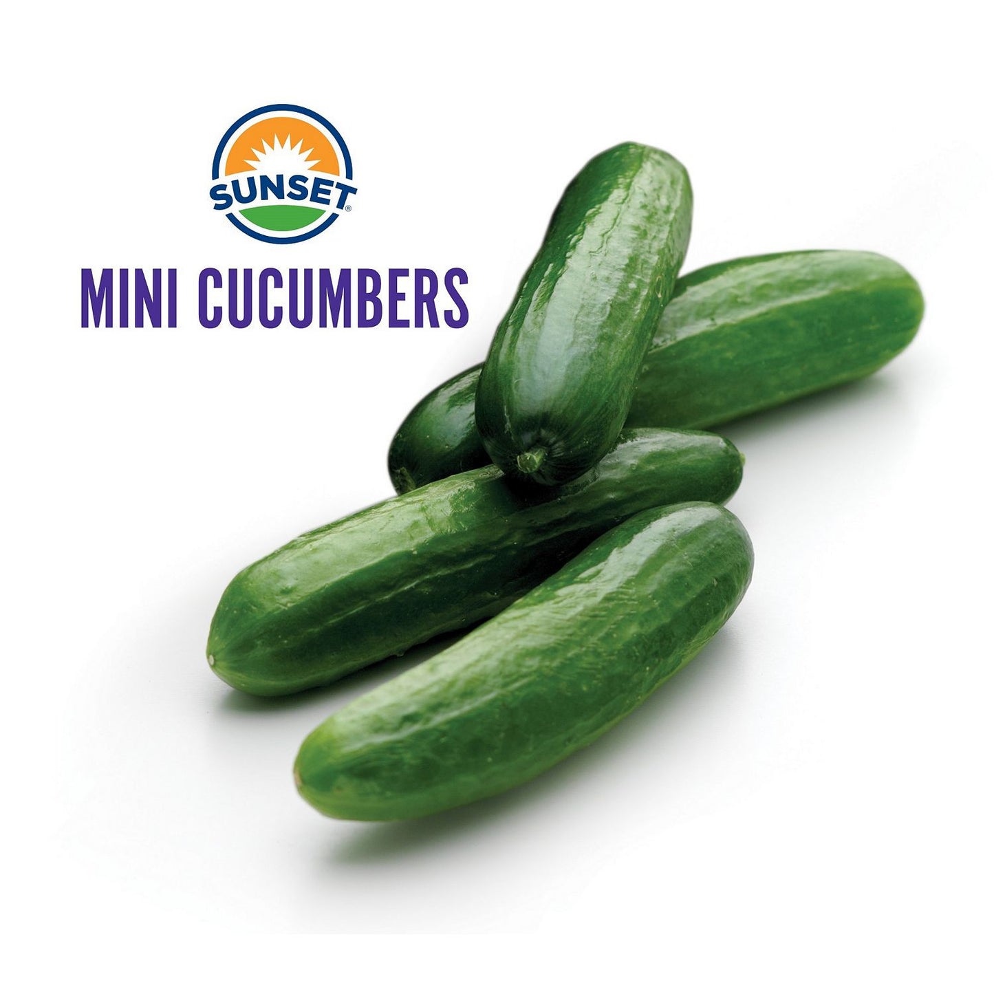 Sunset Mini Cucumbers (2 lbs.)