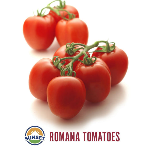 Roma Tomatoes Greenhouse (3 lbs.)