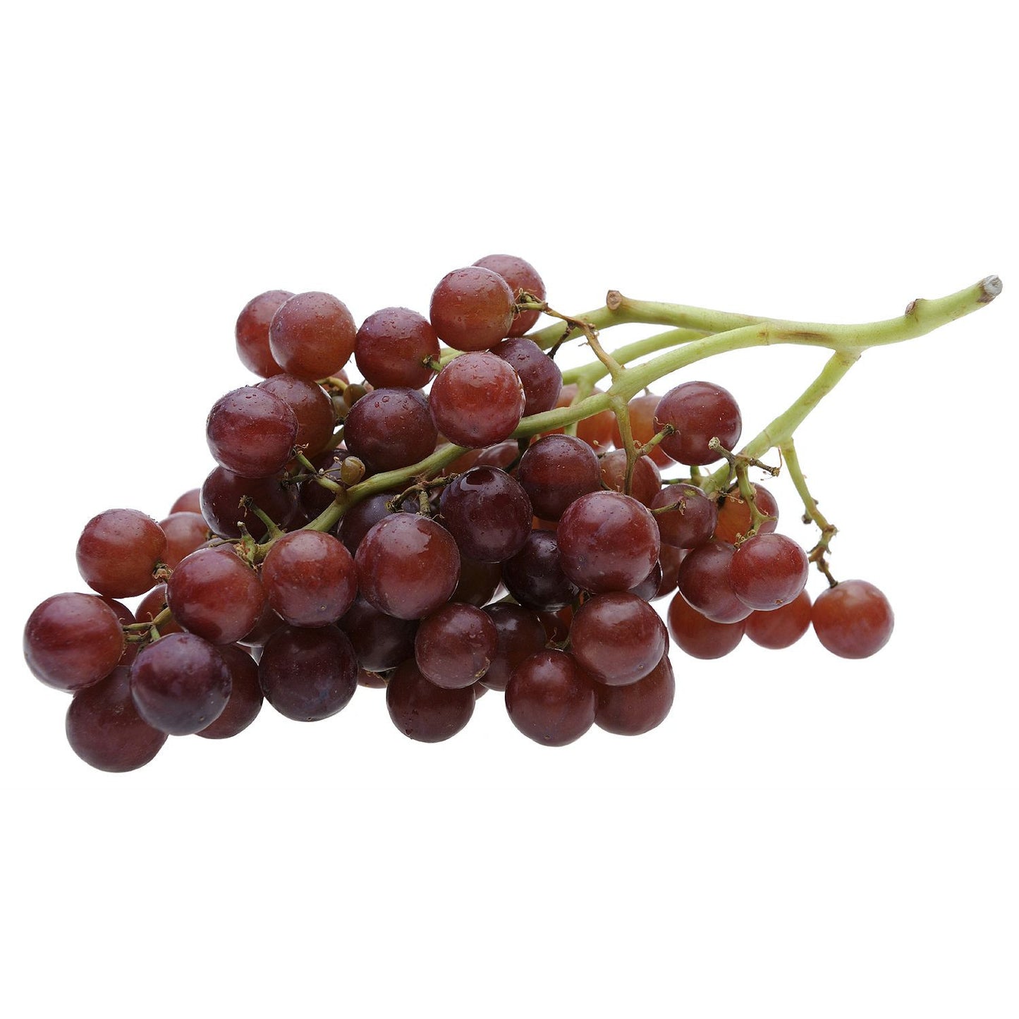 Red Seedless Grapes, Shop