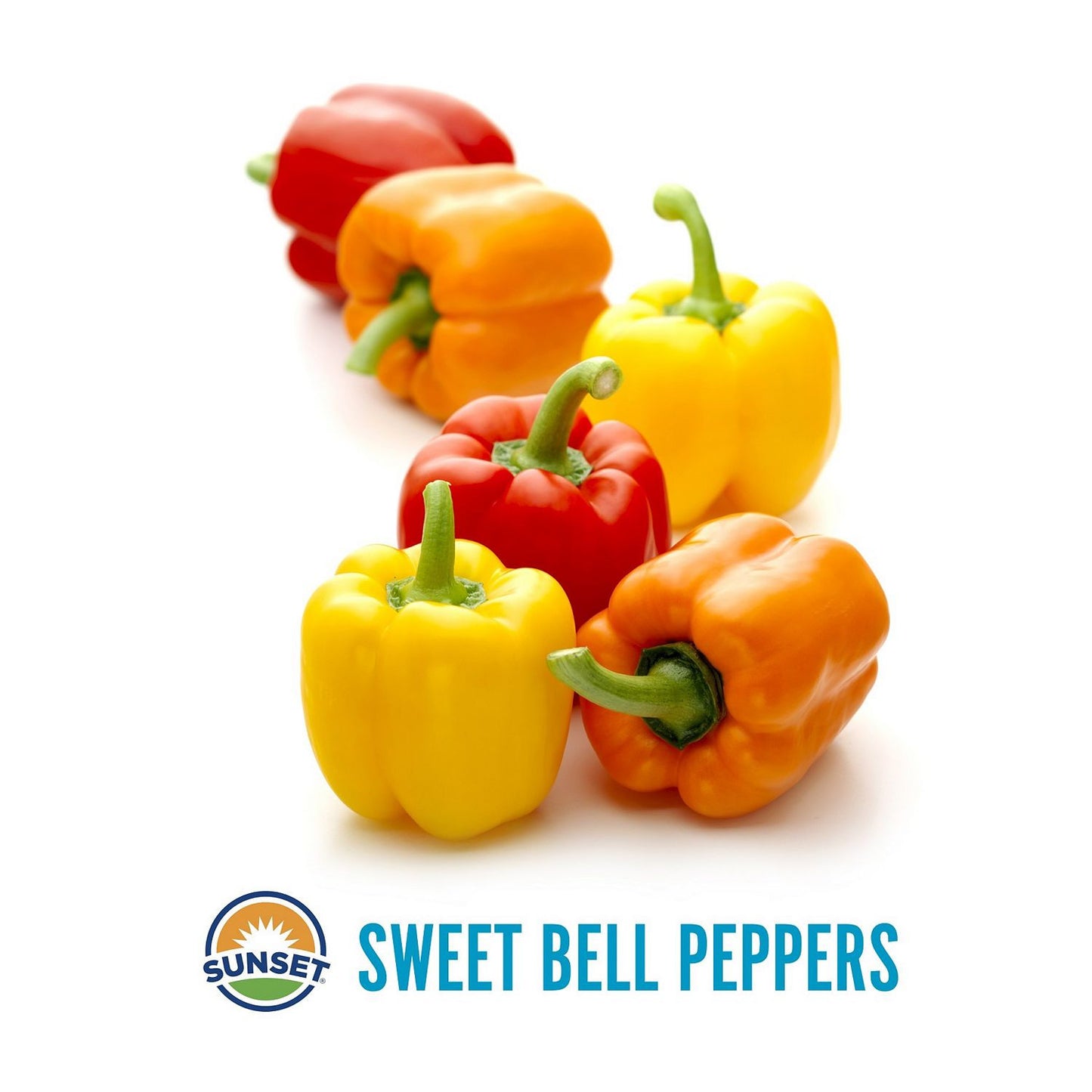 Multi Bell Sweet Peppers (6 ct.)