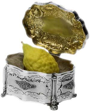 Arba'at Ha-minim MEHUDAR (Etrog Set)