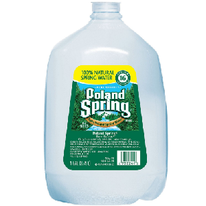 Poland Spring 100% Natural Spring Water (1 gal., 6 pk.)