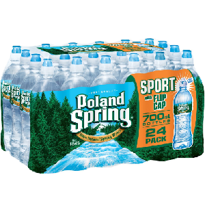 Poland Spring 100% Natural Spring Water (700 ml bottles, 24 pk.)